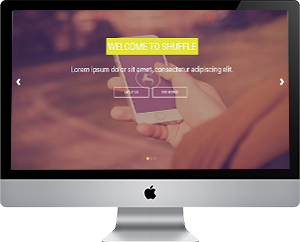 Modelo Template 13
